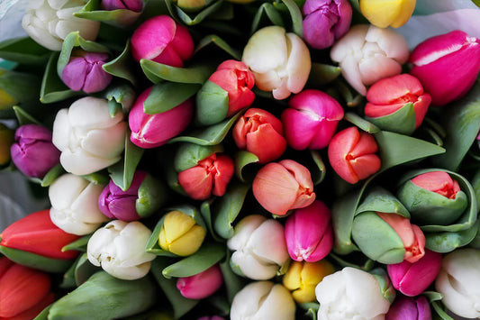 Spring is Finally Here But Are Your Ears Ready?